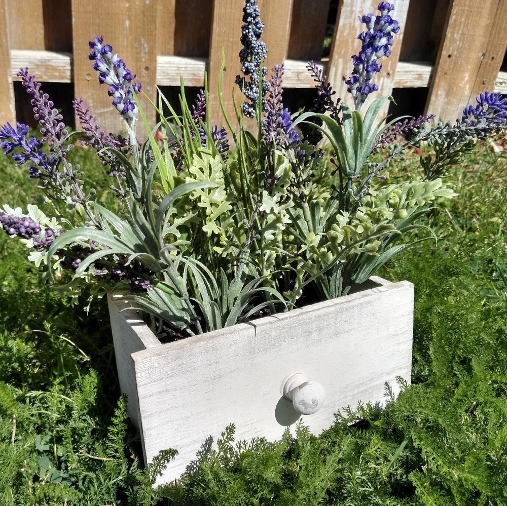 Meet your Posher, Genoveva